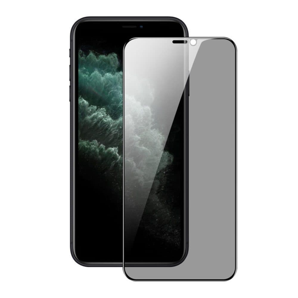 Захисне скло Dux Ducis для iPhone Xr/11 Privacy Series