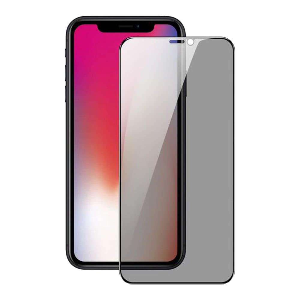 Захисне скло Dux Ducis для iPhone X/Xs Privacy Series