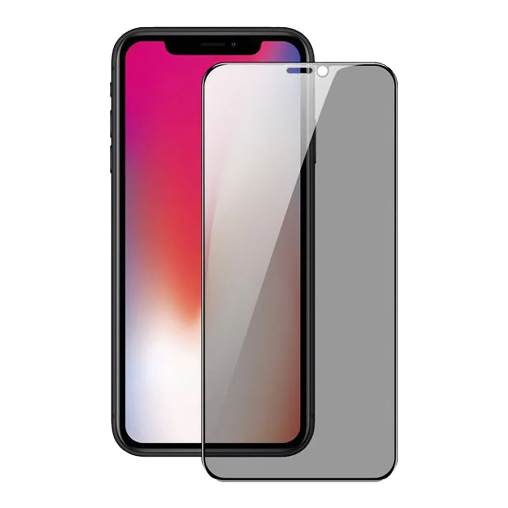 Захисне скло Dux Ducis для iPhone X/Xs Privacy Series
